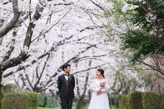 桜と菜の花に囲まれて